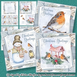 Christmas Robin Collection