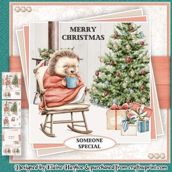 Hedgehog with Cocoa Mini Kit