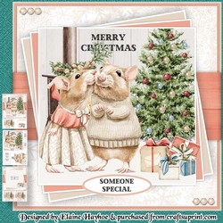 Mr & Mrs House Mouse Mini Kit