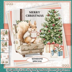 Squirrel with Cocoa Mini Kit