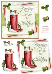 Robins & Red Wellies Quick Card