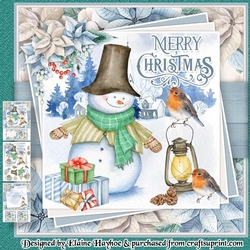 Snowman 2 and Friends Mini Kit