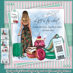 cup1175111_72307 - Lifes Too Short Mini Kit
