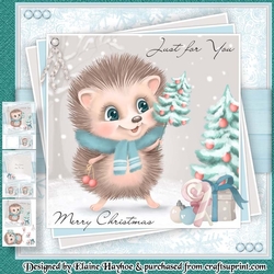 Happy Hedgehog Mini KIt