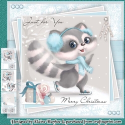 Skating Racoon Mini KIt