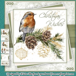 Christmas Robin Redbreast Mini KIt