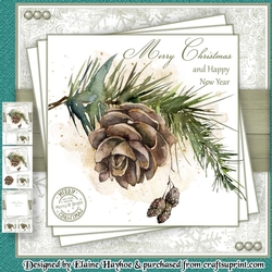 Pine Cone Quick & Easy Mini Kit