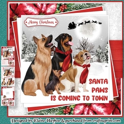 Santa Paws Mini Kit