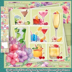 Cocktails Birthday Mini Kit