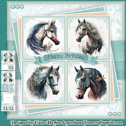 Boho Horses 2 Mini Kit