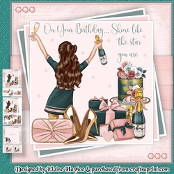 Shine Brunette Mini Kit