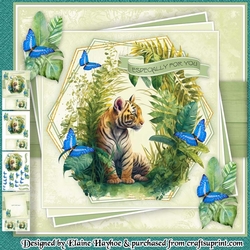 Tiger Tiger Mini Kit