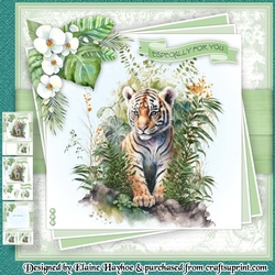 Tiger Cub Mini Kit