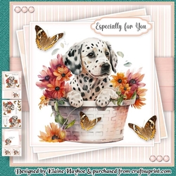 Daisy Dalmation Mini Kit