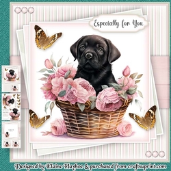 cup1200965_72307 - Lovely Labrador Mini Kit