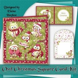 Owl Christmas Card Kit