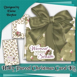 Holly Parcel Card Kit