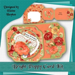 Bright Poppy Card Kit