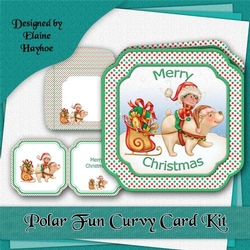 Polar Fun Card Kit