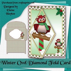 Winter Owl Diamond Fold Card