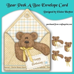Cuddly Bear Envelope Card