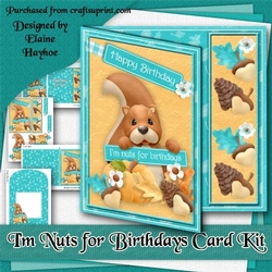 Im Nuts for Birthdays Card Kit
