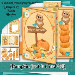 Pumpkin Patch Birthday Card Kit