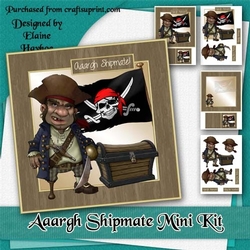 Aaargh Shipmate! Mini Kit