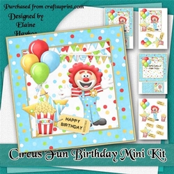 Circus Fun Birthday Mini Kit