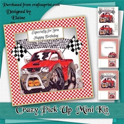 Crazy Pick Up Birthday Mini Kit
