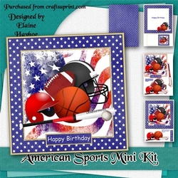 American Sports Mini Kit