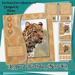 Leopard Birthday Mini Kit