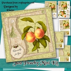 Just Peachy Mini Kit