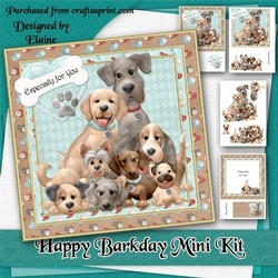 Happy Barkday Mini Kit