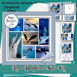 Love Dolphins Mini Kit