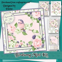 Birdsong Birthday Mini Kit