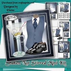 Shaken Not Stirred Mini Kit