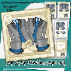 Mr and Mr Wedding Mini Kit