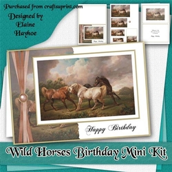 Wild Horses Birthday Mini Kit