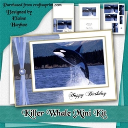 Killer Whale Birthday Mini Kit