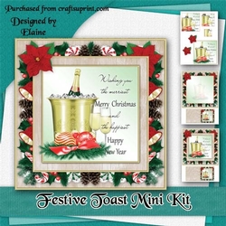 Festive Toast Mini Kit