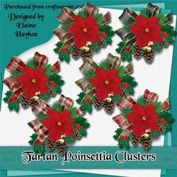 Tartan Poinsettia Clusters Clipart