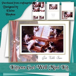 Kittens Get Well Mini Kit