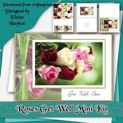Get Well Roses Mini Kit
