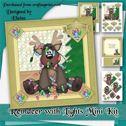 Reindeer with Lights Mini Kit