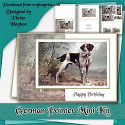 German Pointer (Vintage) Mini Kit