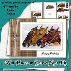 Win Place or Show (Vintage) Mini Kit