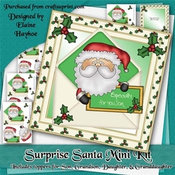 Surprise Santa Mini Kit