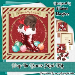 Pup In Boots Christmas Mini Ki