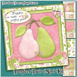 Perfect Pair Mini Kit
